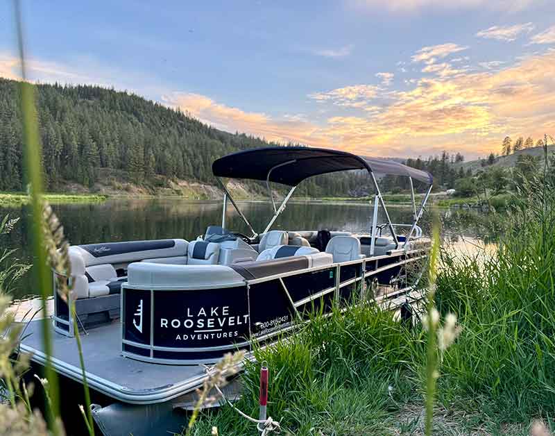Pontoon boat at grassy shoreline at sunset with lake and pine-covered hills.
