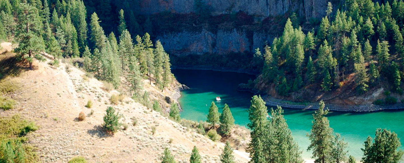 Aerial View of Lake with Pine Trees | Gallery | Lake Roosevelt Adventures